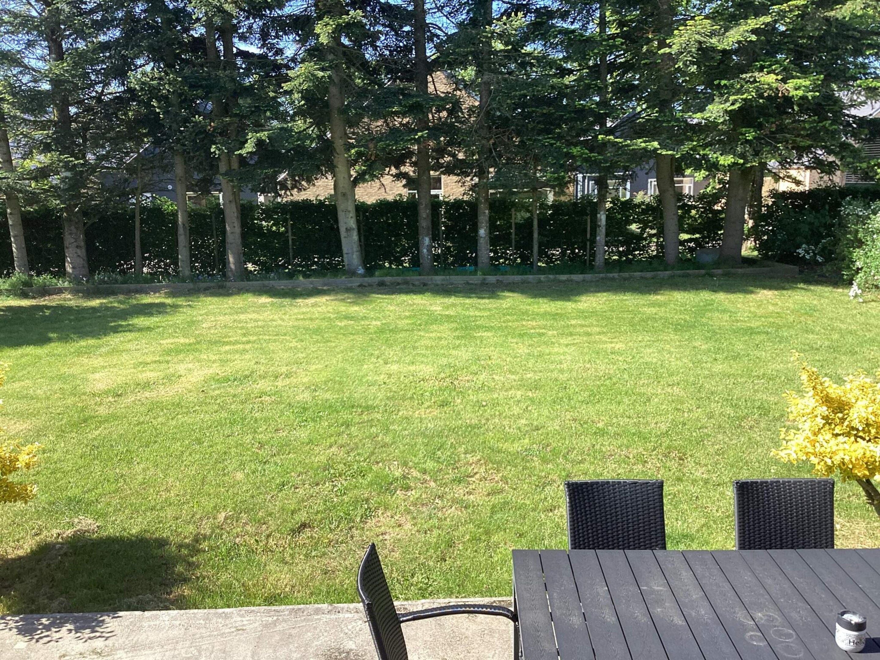 A grassy backyard with a table and chairs, surrounded by trees and a hedge.