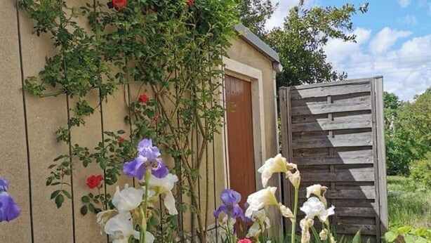 A garden with various flowers and a wooden structure. - House for 1–8 people, garden, 10 minutes from Futuroscope and downtown, French “ 1965-1970 ” decor (Poitiers)