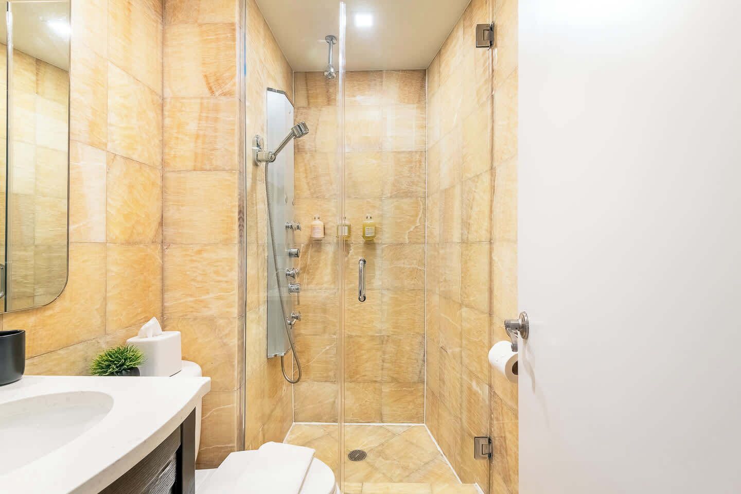 Douche, séchoir à cheveux, serviettes fournies, shampooing