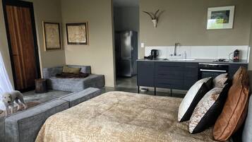 A modern room with a sofa, a bed, a kitchen area, and a dog.