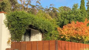 A fenced garden area with a variety of trees and shrubs, a wooden fence, and a building partially obscured by foliage.
