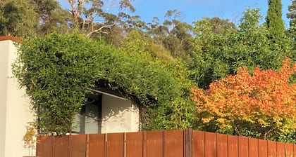 The Vines Studio - work trip or solo retreat in the Tamar Valley Wine Trail.