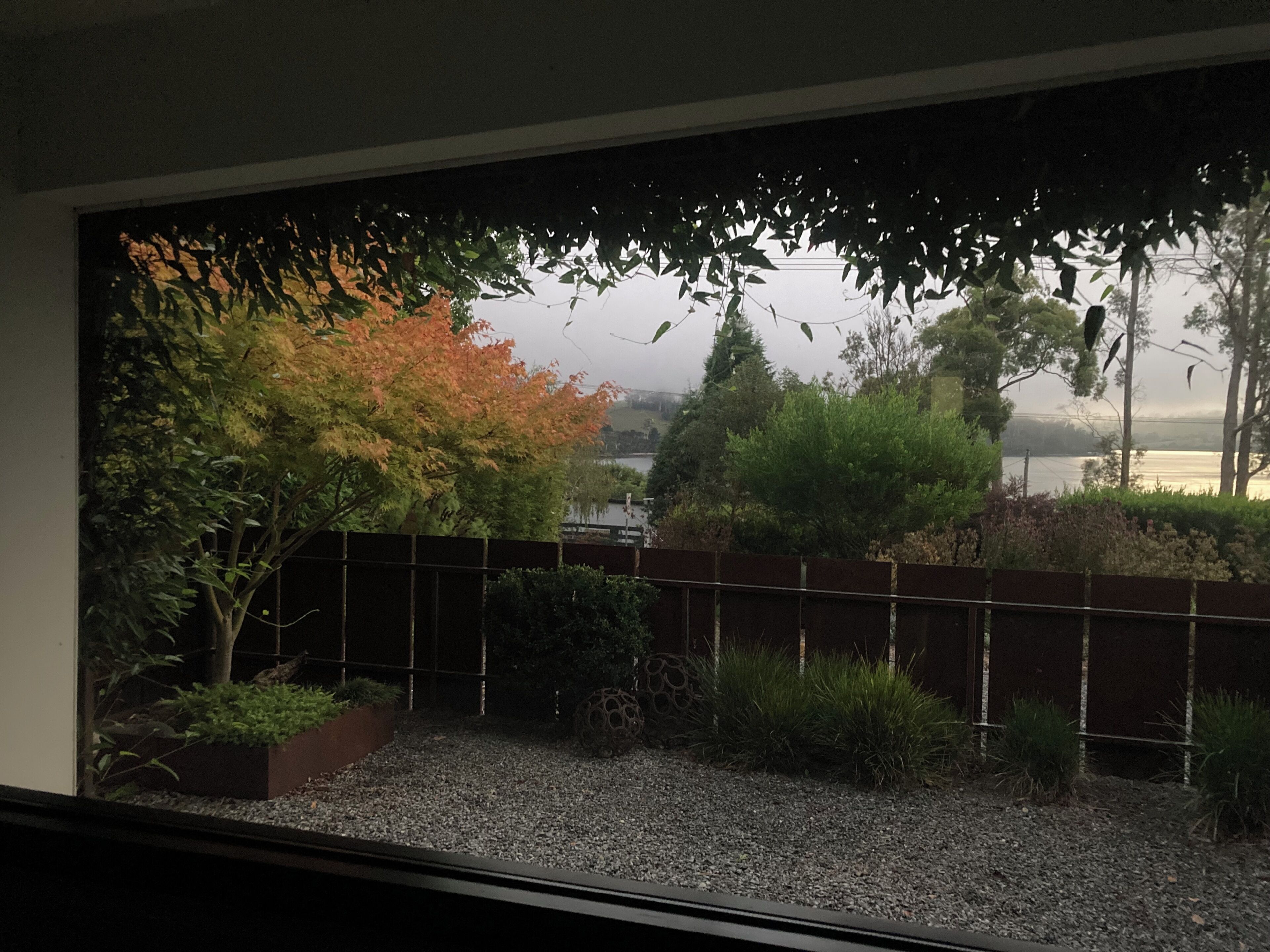 A view through a window of a garden with a gravel path, a wooden fence, and various plants.