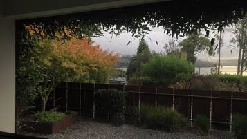 A view through a window of a garden with a gravel path, a wooden fence, and various plants.