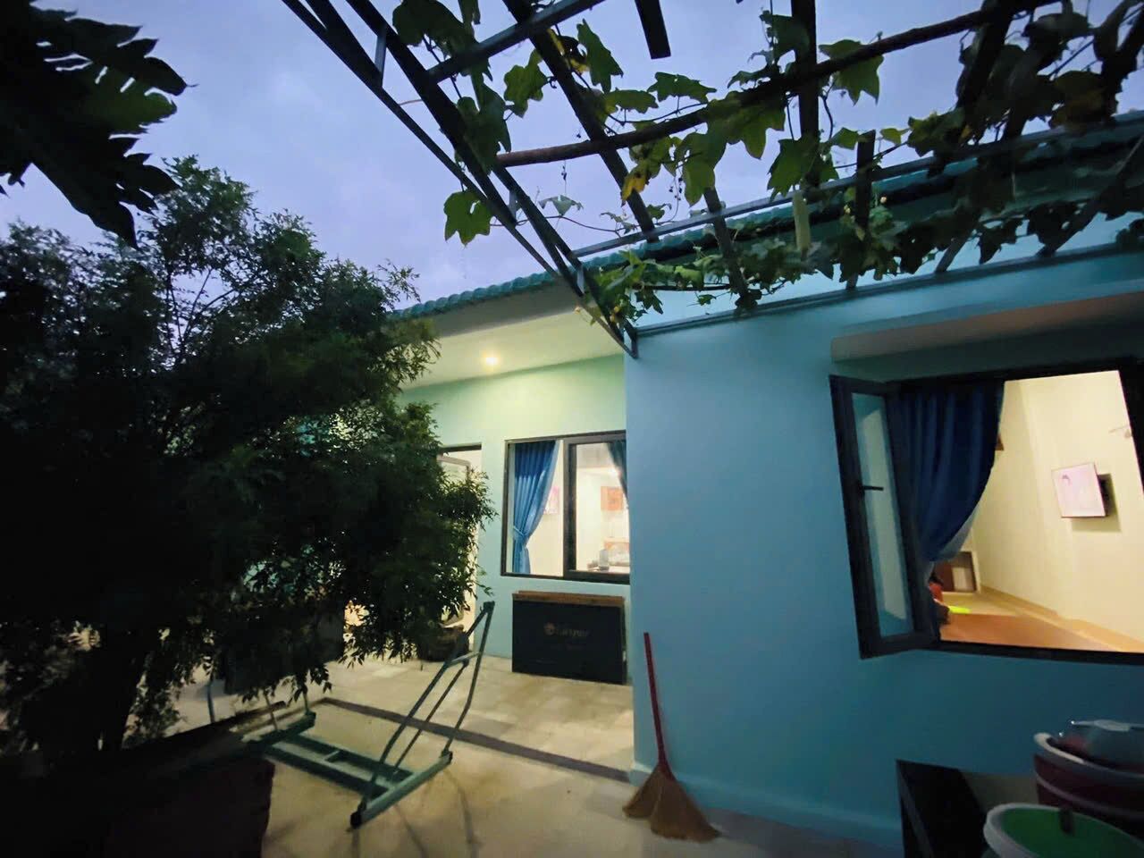 Une pièce avec une fenêtre, une plante et une échelle.
