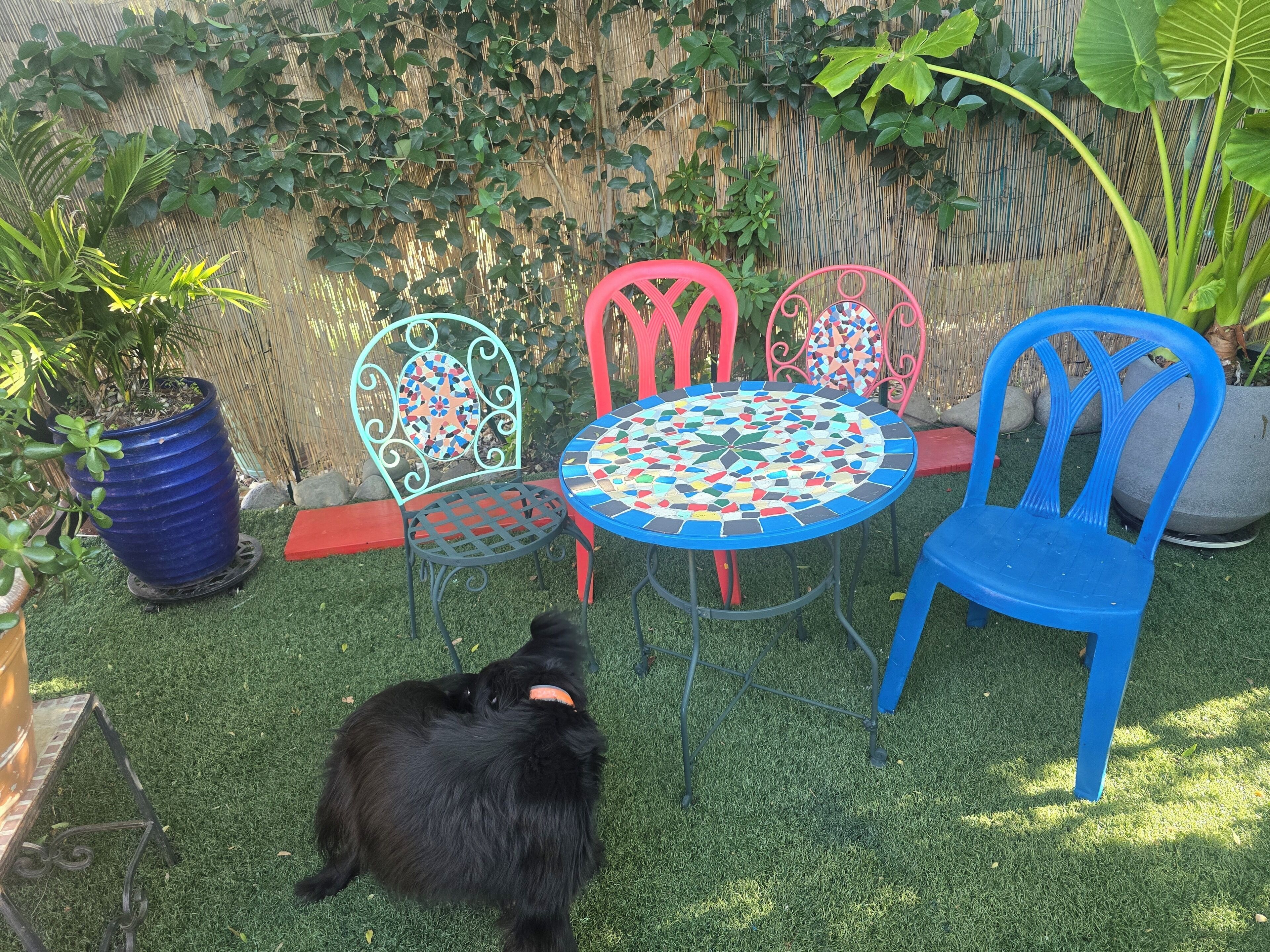 A patio with a round table, four chairs, and a black dog.