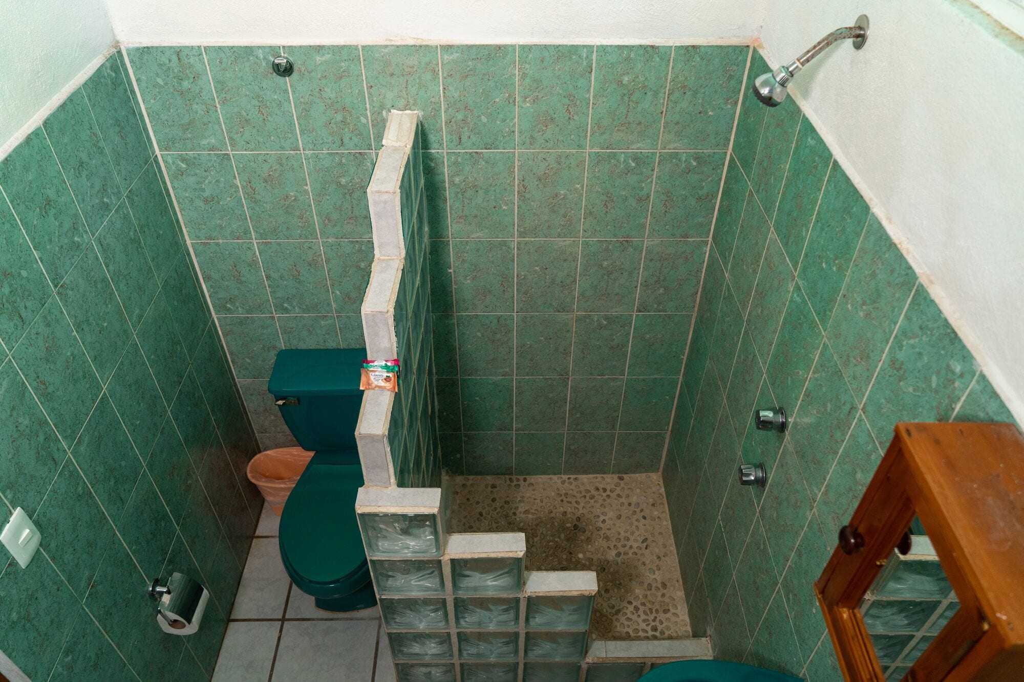 Een kleine badkamer met toilet, douche en wastafel.