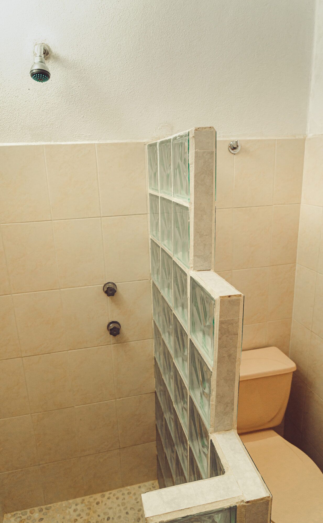 Un box de ducha con mampara de vidrio, azulejos color beige y un inodoro.
