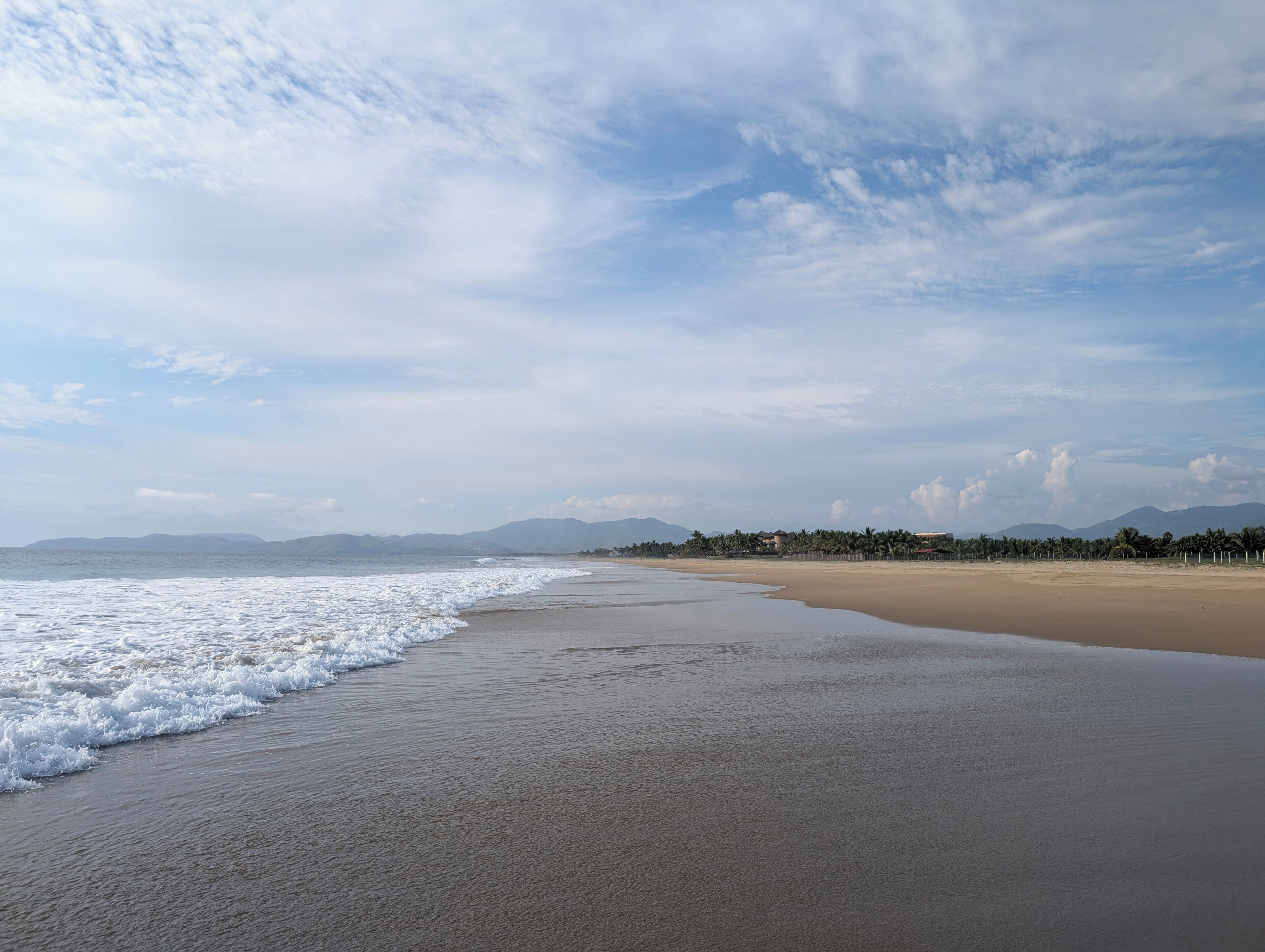 A beach with a sandy shore, waves, and a distant view of mountains and a row of palm trees.