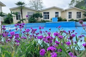 A swimming pool surrounded by purple flowers, with houses in the background.