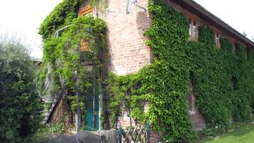 Ein Backsteinhaus, dicht bewachsen mit Efeu, mit einer grünen Tür und einem sichtbaren Fenster.