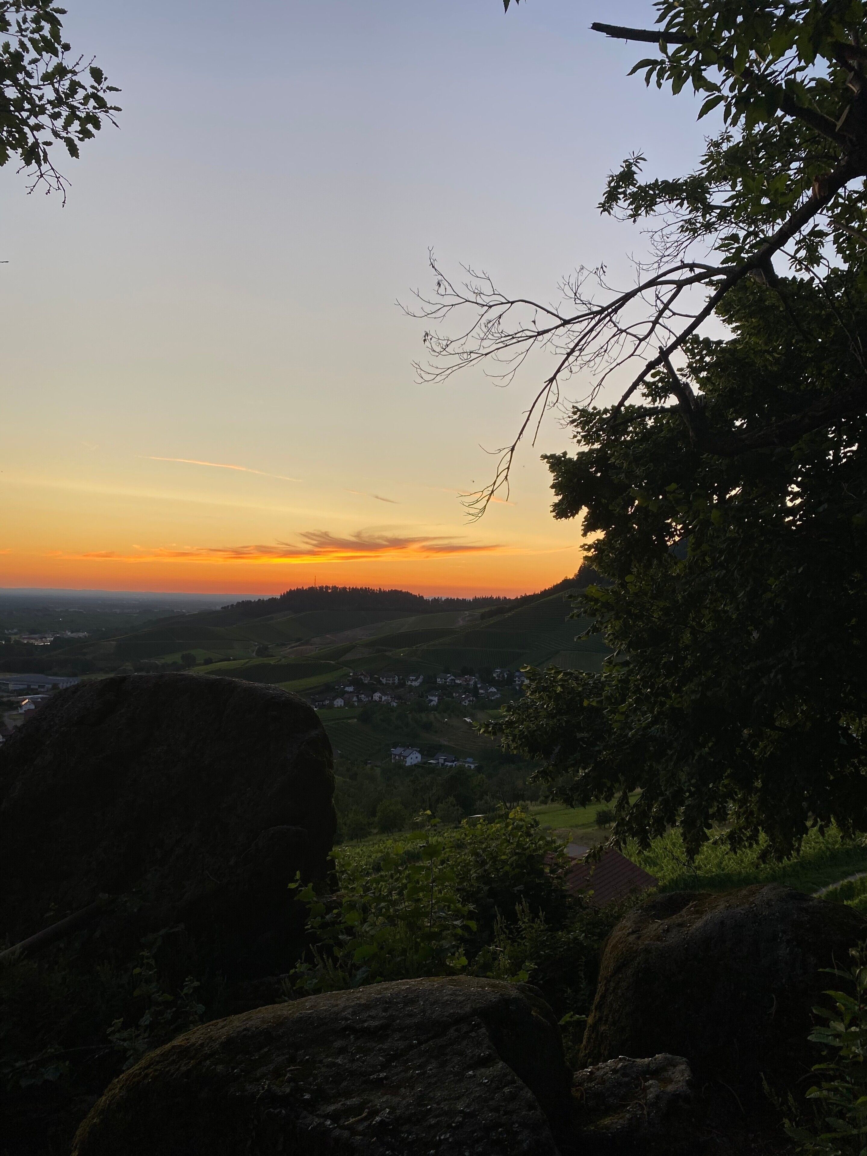 Une vue panoramique sur un paysage vallonné, avec un coucher de soleil et une branche d'arbre au premier plan.