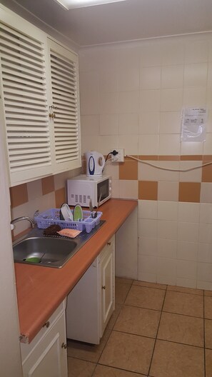 Pieni, käytännöllinen keittiö, jossa on pesuallas, mikroaaltouuni ja vedenkeitin työtasolla.