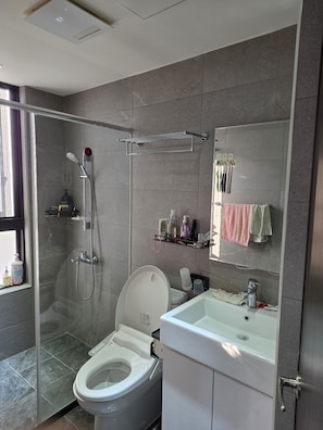 A modern bathroom with a glass shower enclosure, a toilet, a sink, and a mirror.