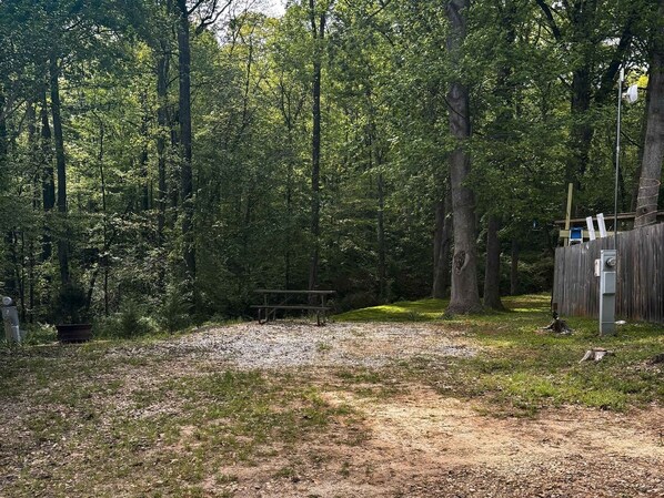 Une zone boisée avec une table de pique-nique, un sentier de gravier et une clôture en bois.