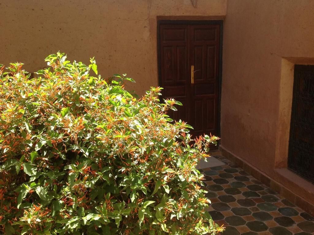 Chambre Double Standard, patio | Détail de l’extérieur