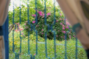 Property grounds - Alagon Ecolodge Nam Cat Tien (Nam Cat Tien)