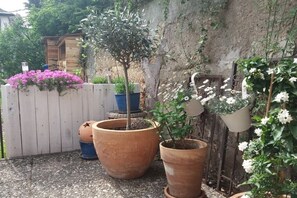 Ein Garten mit Kübelpflanzen, einem Holzzaun und einer Mauer.
