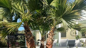 En palme i en gårdhave med flisegulv og en metalstang.