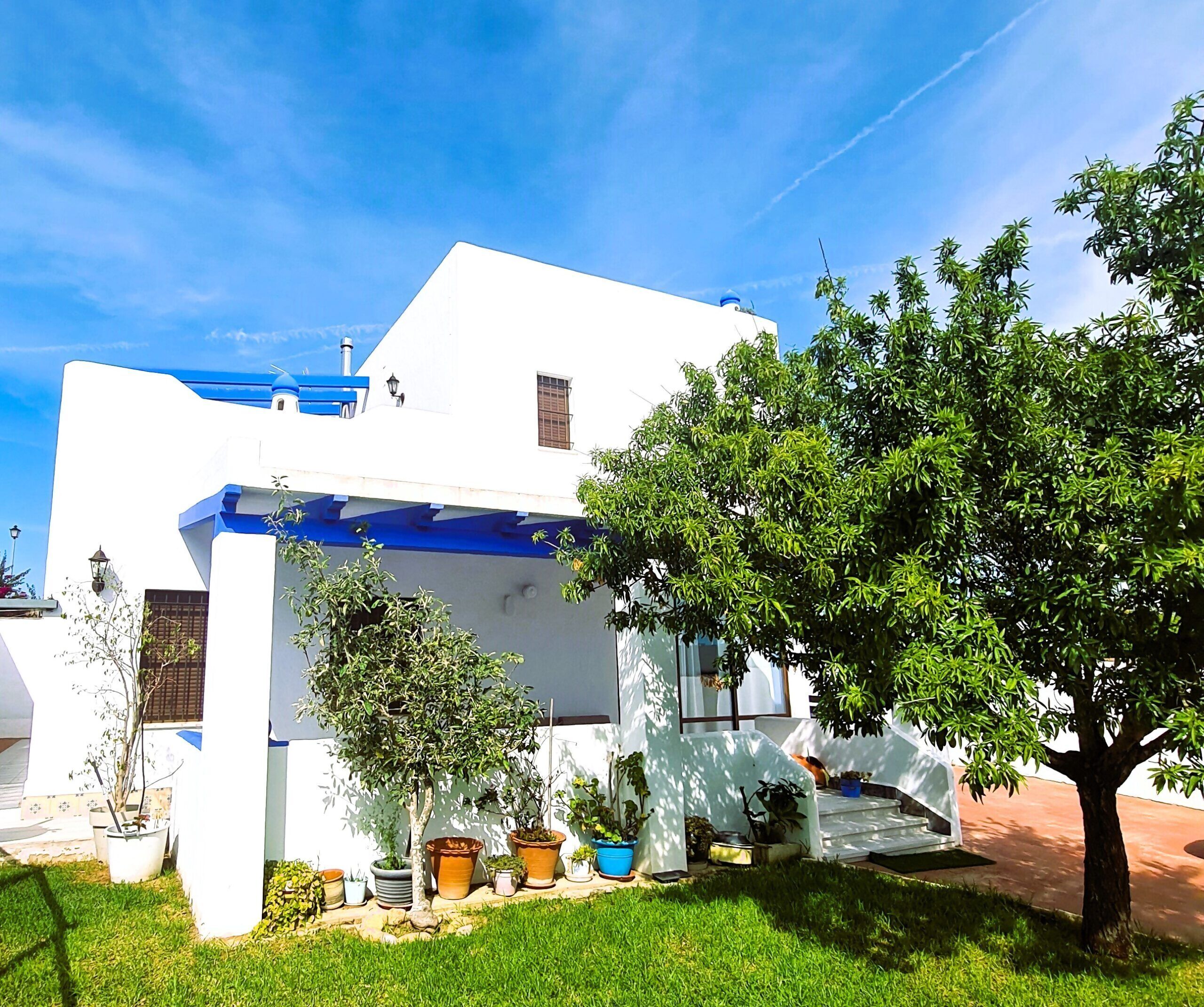 Un edificio blanco con techo azul, un árbol en primer plano y varias plantas en macetas alrededor de la entrada.