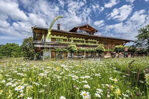 Un grand bâtiment en bois doté de nombreux balcons, entouré d’un champ de marguerites.