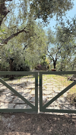 A gated area with a stone pathway, surrounded by olive trees and a stone wall. - Absolute Relaxation, Total Isolation among the Olive Trees and Sea View (Camaiore)