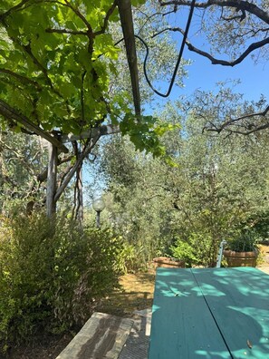 Outdoor dining - Vrbo Property (Camaiore)