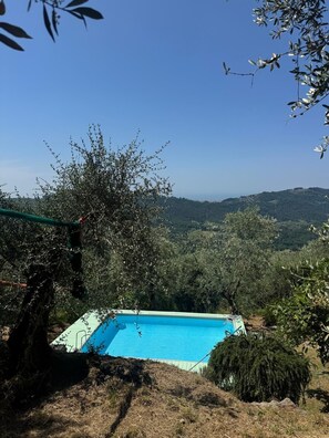 Pool - Vrbo Property (Camaiore)