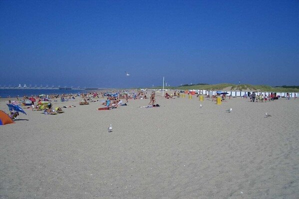 Une plage avec des gens, des parasols et des chaises de plage.