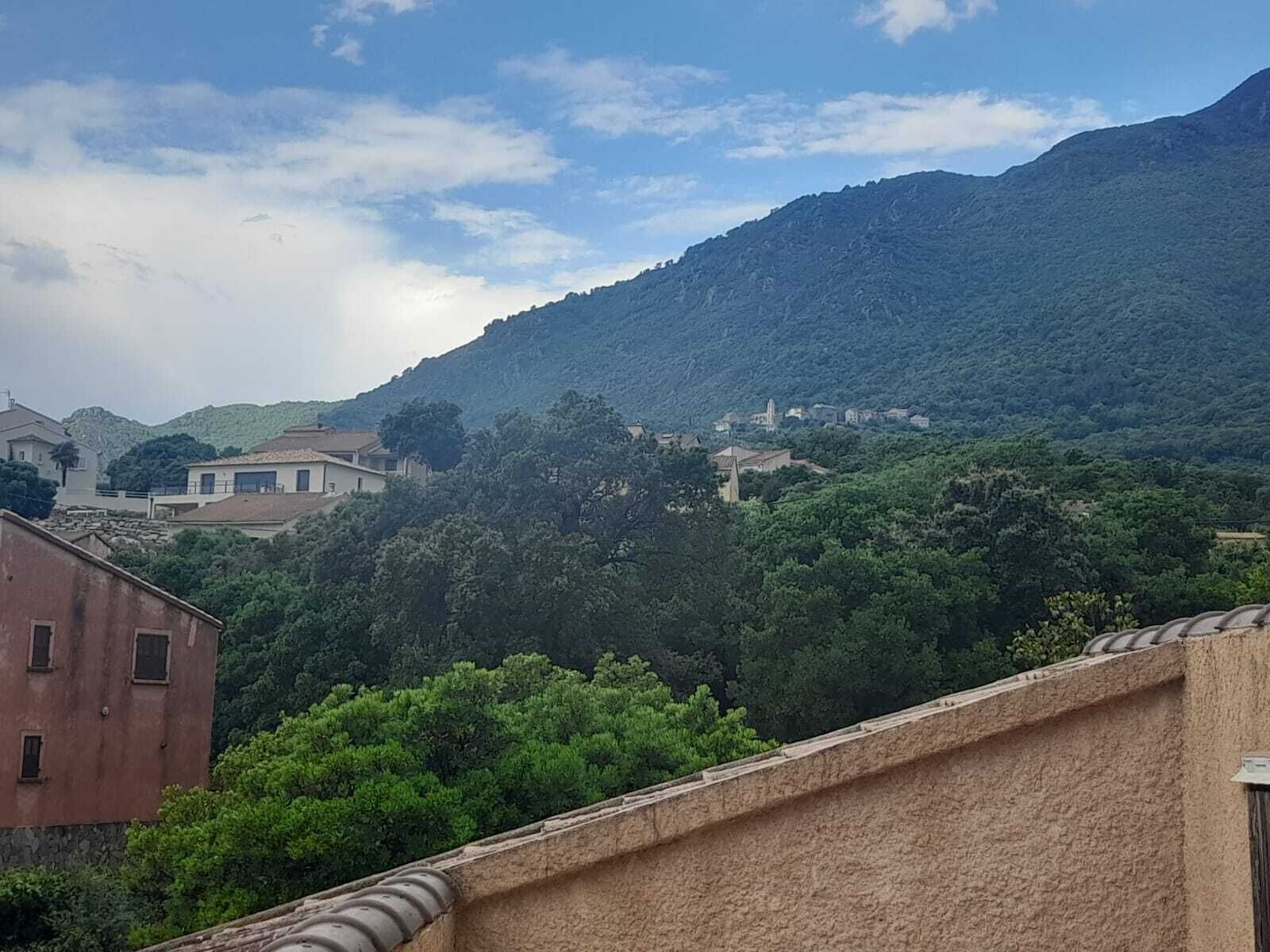 Un quartier résidentiel situé sur une colline, avec des maisons et des arbres.