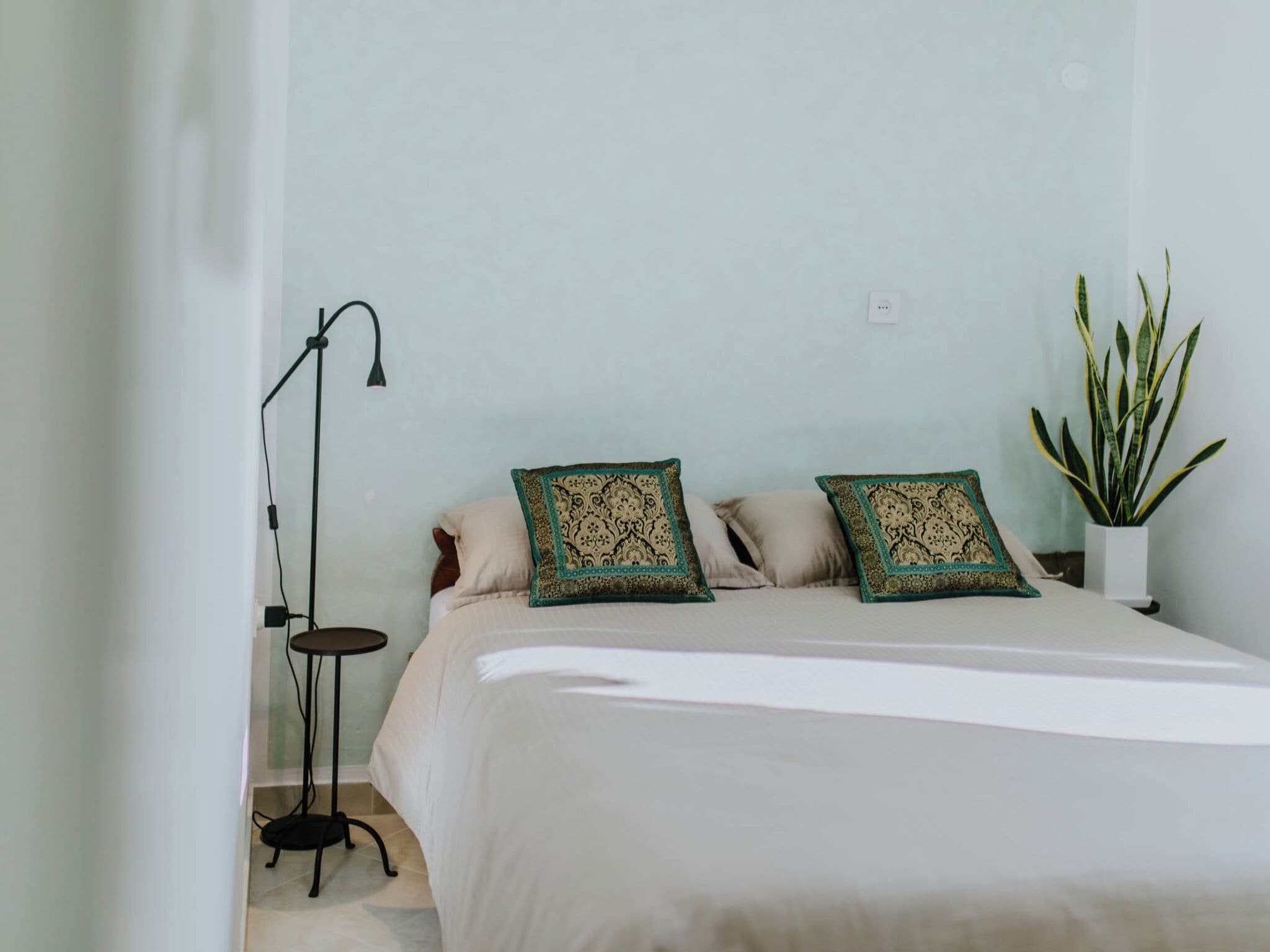 A bedroom with a bed, two decorative pillows, a floor lamp, a potted plant, and a wall socket.