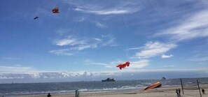 Ein Strand mit einem Volleyballnetz, einem Schiff in der Ferne und einem klaren Himmel.