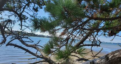 Omokoroa Sea View Apartment, stunning views, amazing sun rises, quiet spot