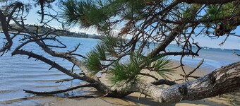 Omokoroa Sea View Apartment, stunning views, amazing sun rises, quiet spot