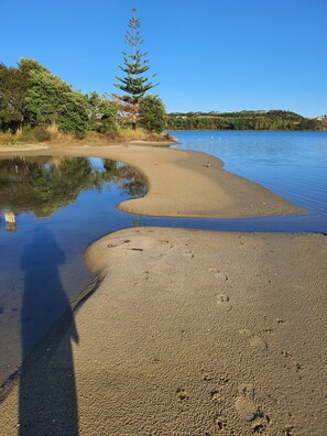 Una playa con agua cristalina, un árbol y una costa lejana.