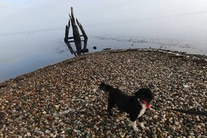 Am Strand