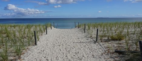 On the beach
