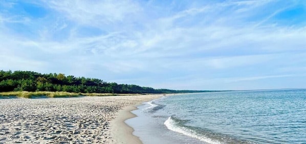 Ein Strand mit sandigem Ufer, ruhigem Wasser und bewaldeter Küstenlinie im Hintergrund.