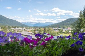 Eine Berglandschaft mit einer Stadt im Tal, im Vordergrund violette und weiße Blumen.