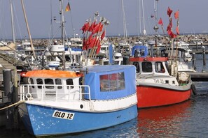 Port esportiu