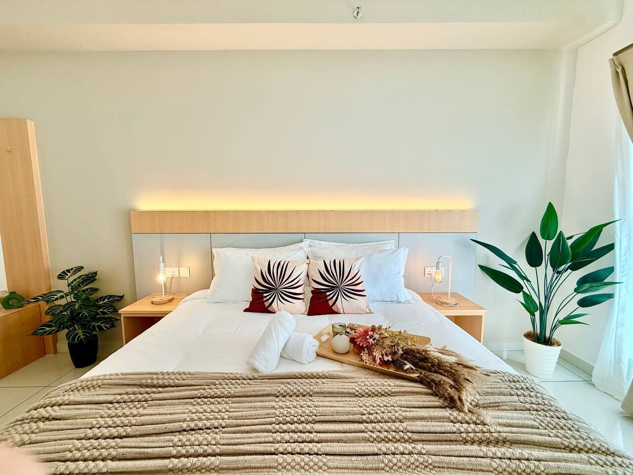 A neatly made bed with a decorative pillow, a bedside table with a lamp, and a potted plant.