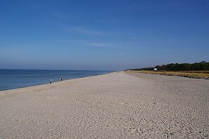 Beach - House Waldstraße, ground floor apartment (Ostseebad Prerow)