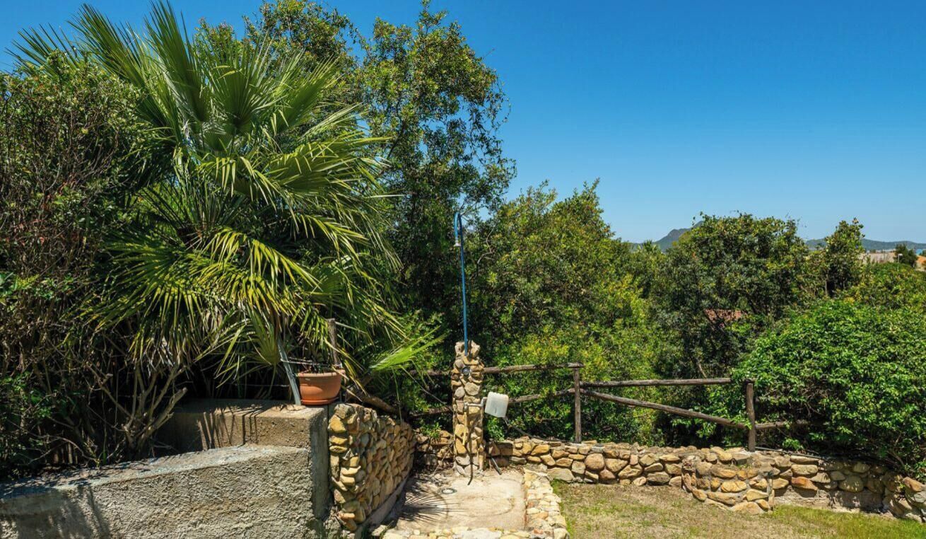 A stone wall with a palm tree, a wooden fence, and a clear blue sky.