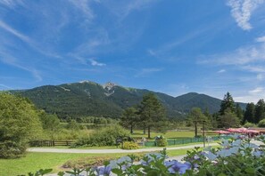 Eine Berglandschaft mit blauem Himmel, einem Weg und einem eingezäunten Bereich mit roten Sonnenschirmen.