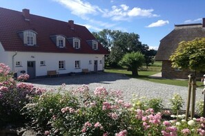 Esterni