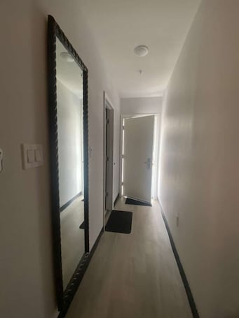A narrow hallway with a large mirror on the left, a door at the end, and a doormat on the floor.