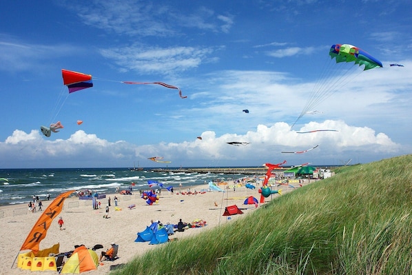 Ein Strand mit Zelten und Drachen.