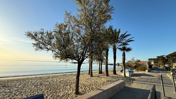 Una playa con cielo despejado, orilla arenosa y algunos árboles.