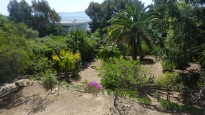 Un jardín con diversas plantas y árboles, un sendero de tierra y un edificio al fondo.