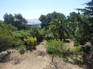 Ein Garten mit verschiedenen Pflanzen und Bäumen, ein Feldweg und ein Gebäude im Hintergrund.